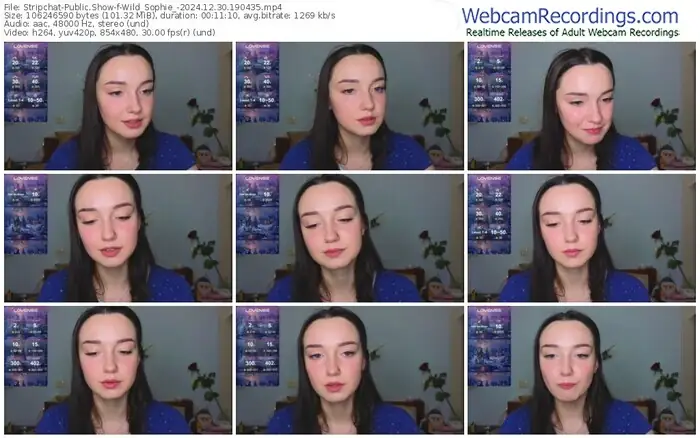 stripchat-wild_sophie_-12-30-2024-19-04-35