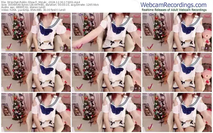 stripchat-_mizuki_-12-30-2024-17-32-01