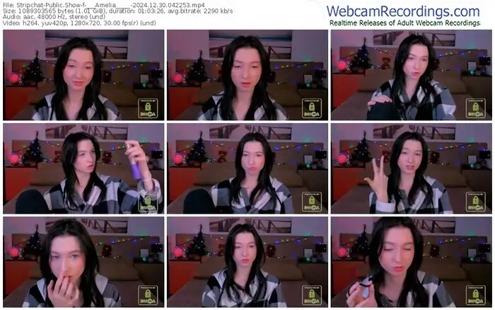 stripchat-___amelia_____-12-30-2024-04-22-53