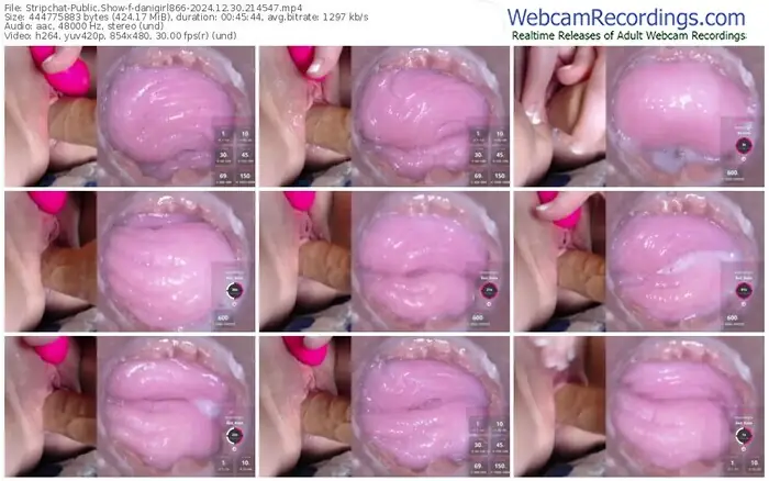 stripchat-danigirl866-12-30-2024-21-45-47