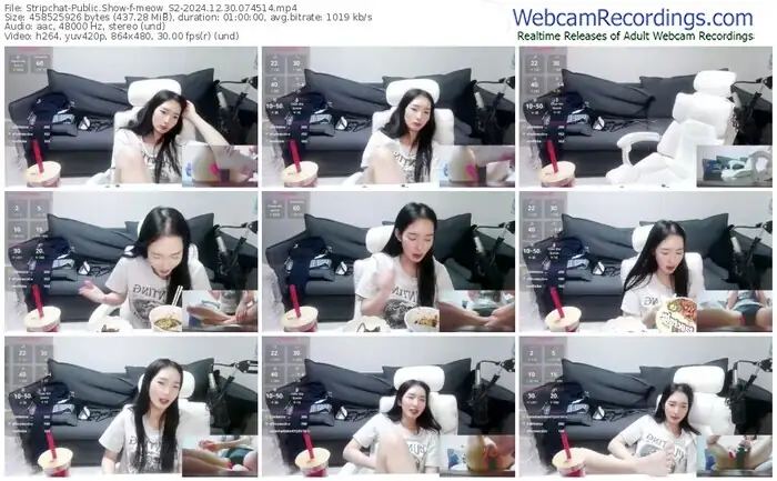 stripchat-meow_s2-12-30-2024-07-45-14