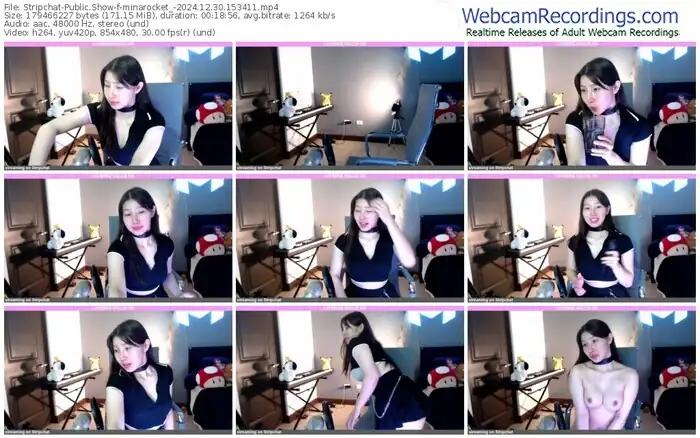 stripchat-minarocket_-12-30-2024-15-34-11