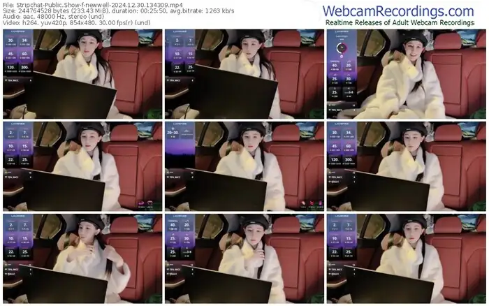 stripchat-newwell-12-30-2024-13-43-09