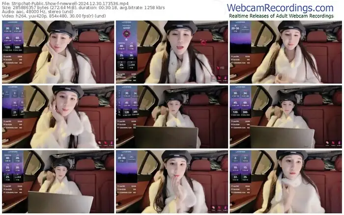 stripchat-newwell-12-30-2024-17-35-36