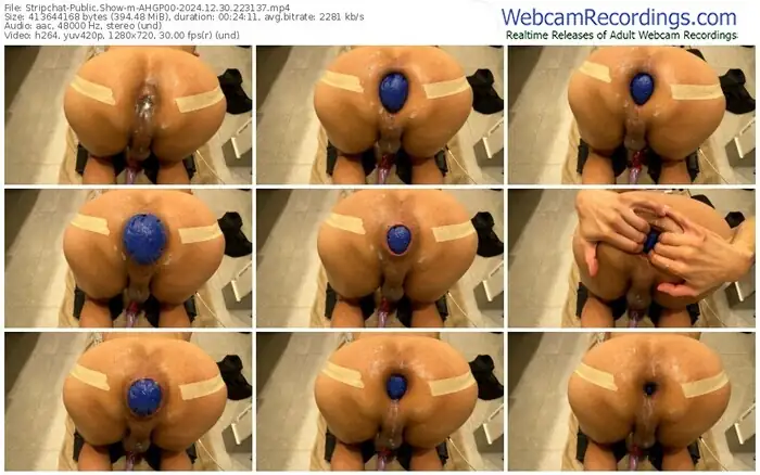 stripchat-ahgp00-12-30-2024-22-31-37