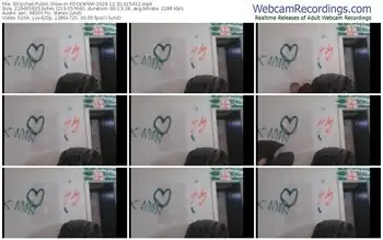 stripchat-fdckwnw-12-30-2024-01-54-12