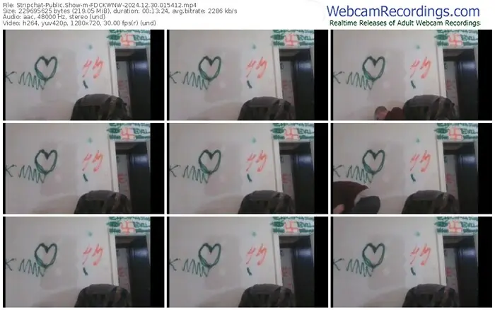 stripchat-fdckwnw-12-30-2024-01-54-12