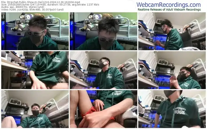 stripchat-owl1216-12-30-2024-16-26-04