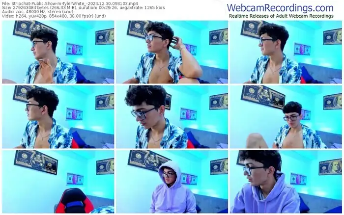stripchat-tylerwhite_-12-30-2024-09-31-03