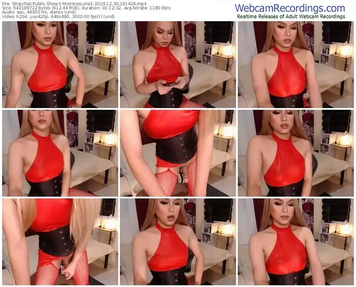 stripchat-mistressluna1-12-30-2024-19-14-26