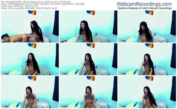 stripchat-perver21cm-12-30-2024-17-24-38