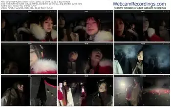 stripchat-aoa_girl111-12-31-2024-13-02-44