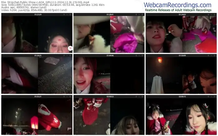 stripchat-aoa_girl111-12-31-2024-15-10-01