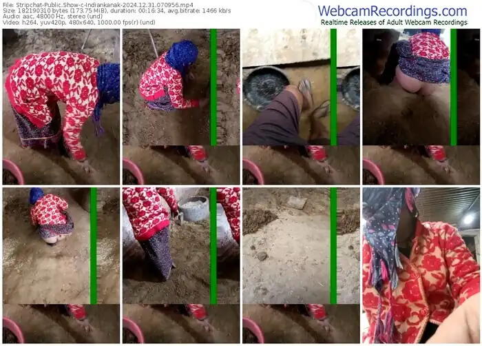 stripchat-indiankanak-12-31-2024-07-09-56