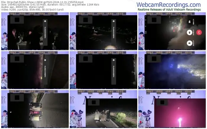 stripchat-new-girl520-12-31-2024-15-50-59