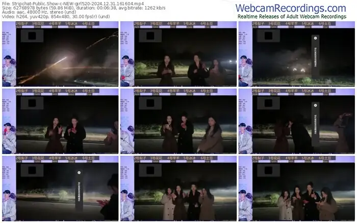 stripchat-new-girl520-12-31-2024-16-16-04