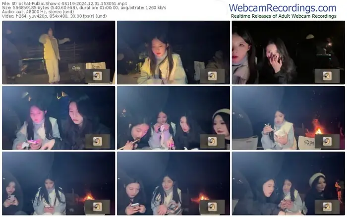 stripchat-ss119-12-31-2024-15-30-51