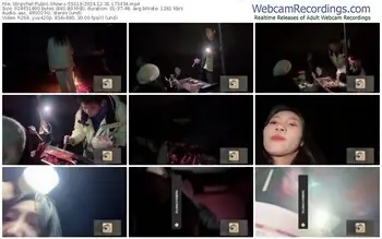 stripchat-ss119-12-31-2024-17-34-34