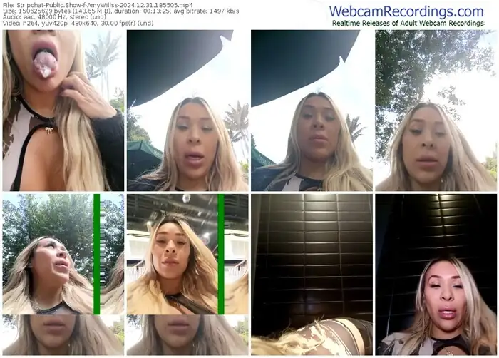 stripchat-amywillss-12-31-2024-18-55-05