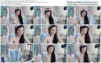 stripchat-avaa--12-31-2024-04-00-50