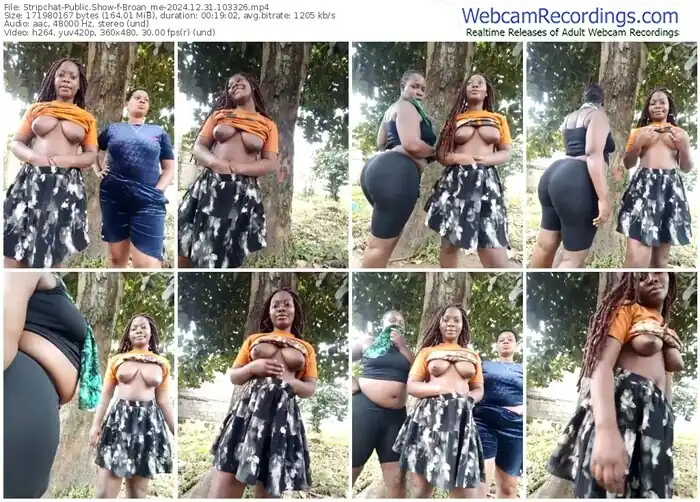 stripchat-broan_me-12-31-2024-10-33-26