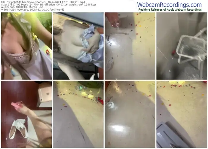 stripchat-cartier-__daji--12-31-2024-18-29-31