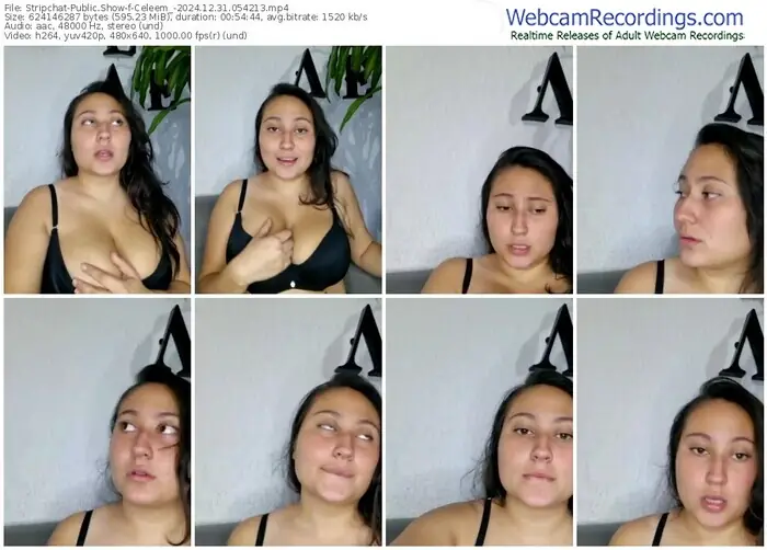 stripchat-celeem_-12-31-2024-05-42-13