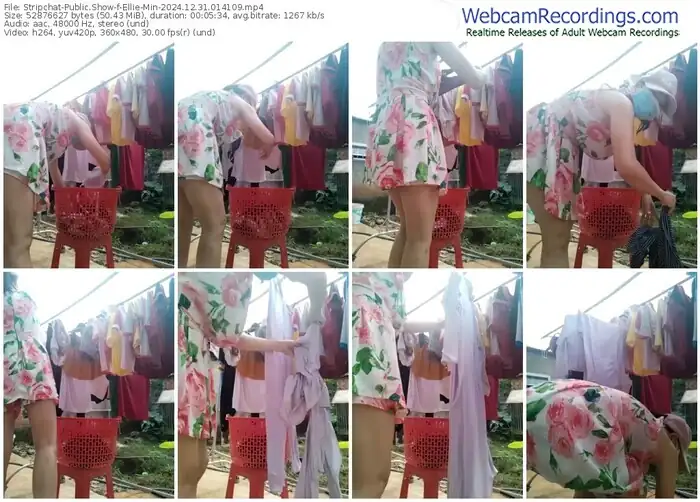 stripchat-ellie-min-12-31-2024-01-41-09