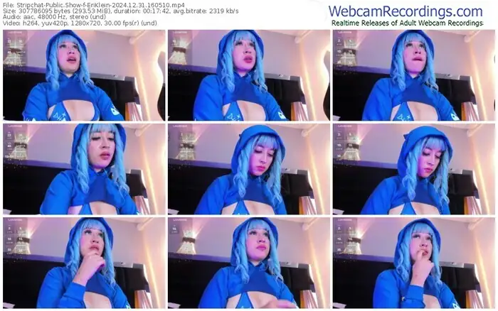 stripchat-eriklein-12-31-2024-16-05-10