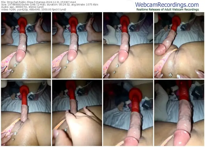 stripchat-iitaniee-12-31-2024-15-33-07