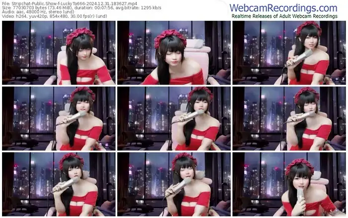 stripchat-luckyto666-12-31-2024-18-36-27