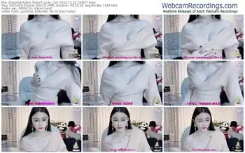 stripchat-lucky_cat--12-31-2024-22-09-27