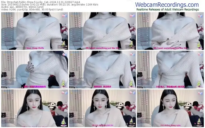 stripchat-lucky_cat--12-31-2024-22-09-27