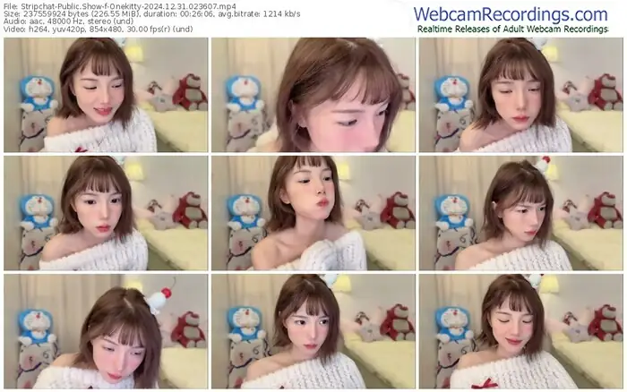 stripchat-onekitty-12-31-2024-02-36-07