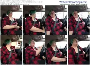 stripchat-potofgreer-12-31-2024-18-42-27