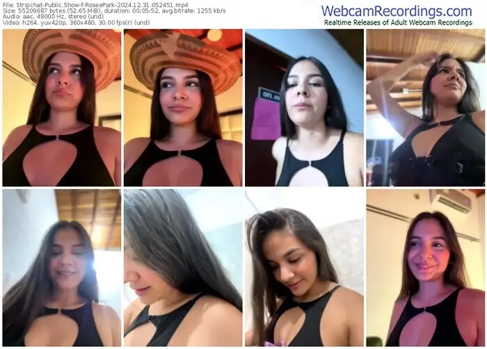 stripchat-roseepark-12-31-2024-05-24-51