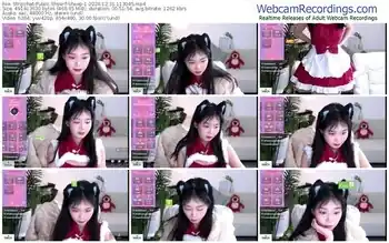 stripchat-sheep-1-12-31-2024-11-30-45