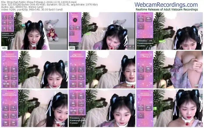 stripchat-sheep-1-12-31-2024-16-03-10