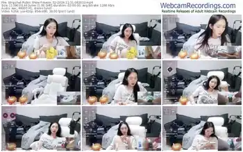 stripchat-meow_s2-12-31-2024-08-20-33