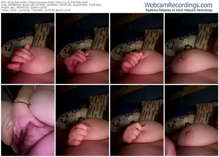 stripchat-poussychats-12-31-2024-02-36-05