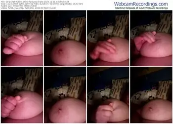 stripchat-poussychats-12-31-2024-02-58-52