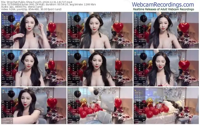 stripchat-vyizh--12-31-2024-14-17-27