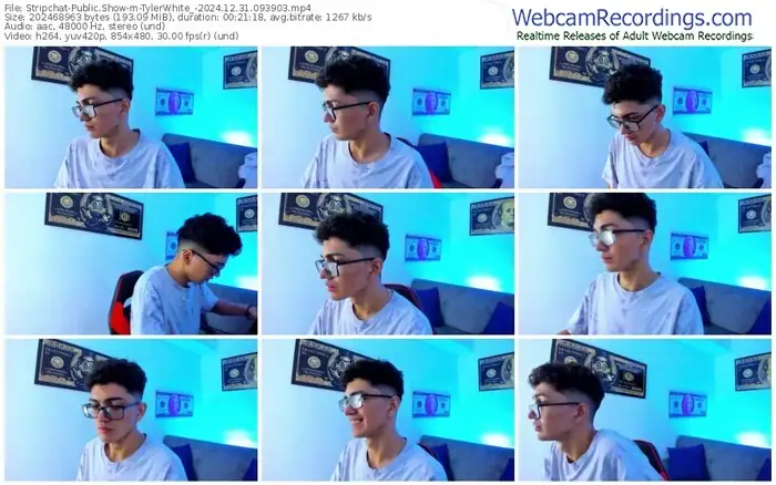 stripchat-tylerwhite_-12-31-2024-09-39-03