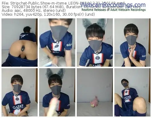 stripchat-itsme_leon-12-31-2024-15-01-48