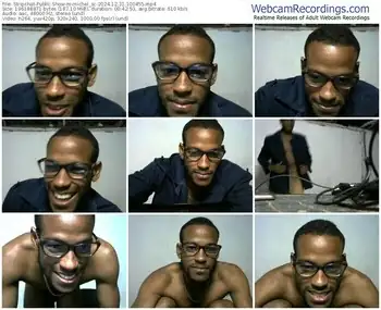 stripchat-michel_sc-12-31-2024-10-04-55