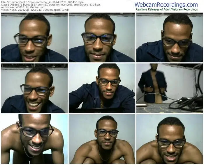 stripchat-michel_sc-12-31-2024-10-04-55