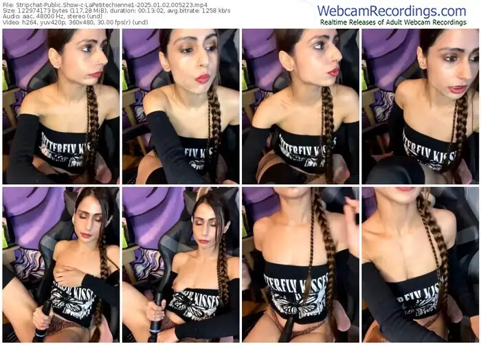 stripchat-lapetitechienne1-01-02-2025-00-52-23