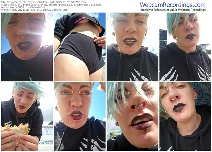 stripchat-pinkthehawk-01-02-2025-20-57-18