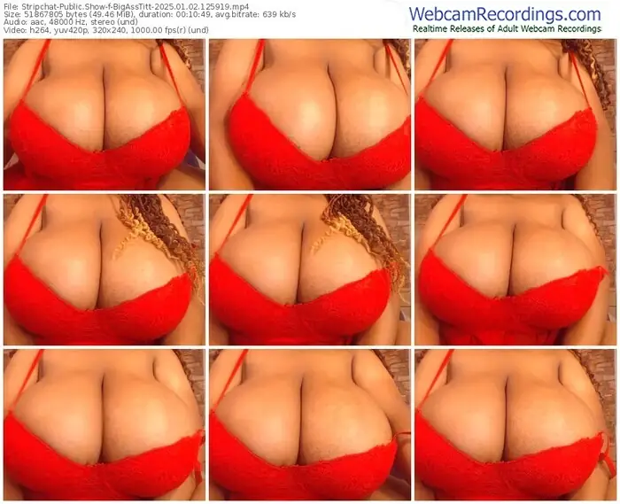 stripchat-bigasstitt-01-02-2025-12-59-19