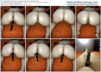 stripchat-ceyceys-01-02-2025-12-53-15